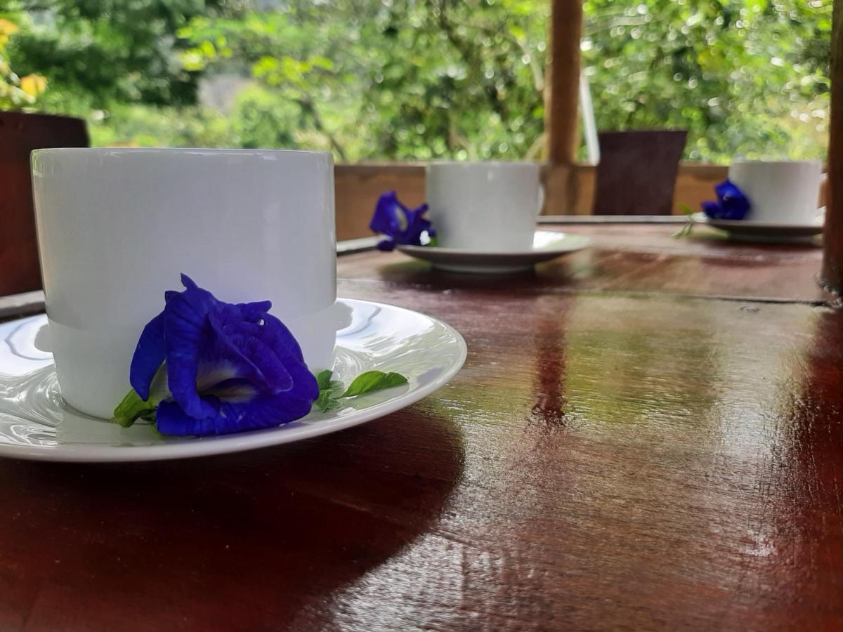 Kande Gedara Resort Monaragala Екстериор снимка